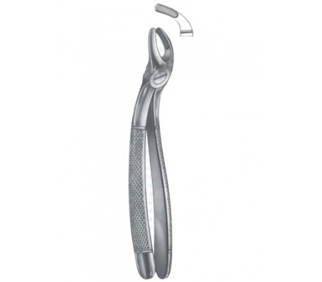 Extracting Forceps